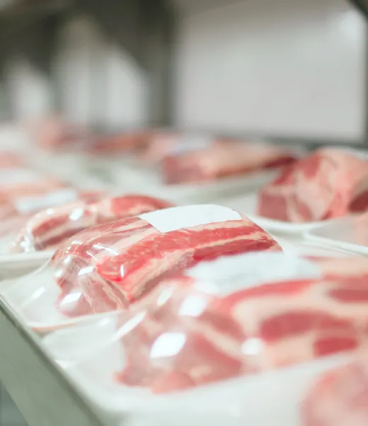 indoguna dubai partnership